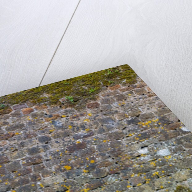 Old stone wall by Assaf Frank